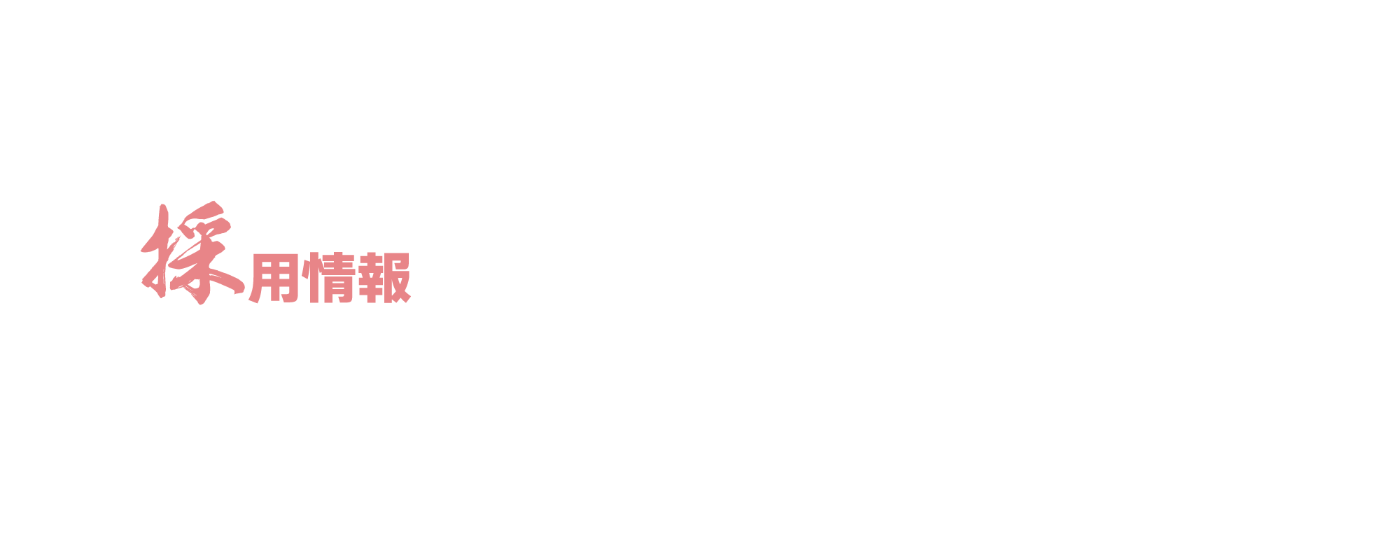 採用情報